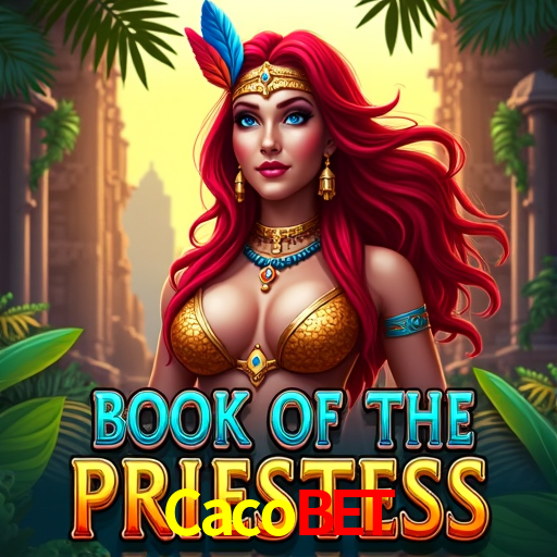 Experimente o Login Seguro Premium no Cacobet