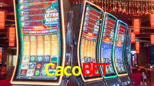Cacobet,Cacobet App